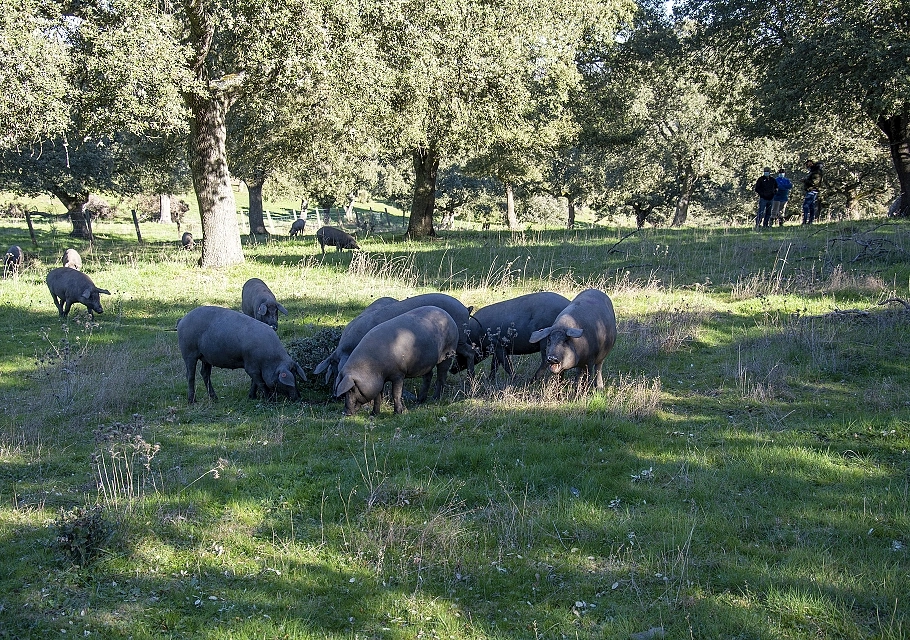 Nos domaines