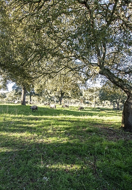 Nos domaines